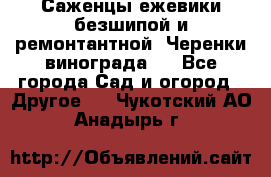 Саженцы ежевики безшипой и ремонтантной. Черенки винограда . - Все города Сад и огород » Другое   . Чукотский АО,Анадырь г.